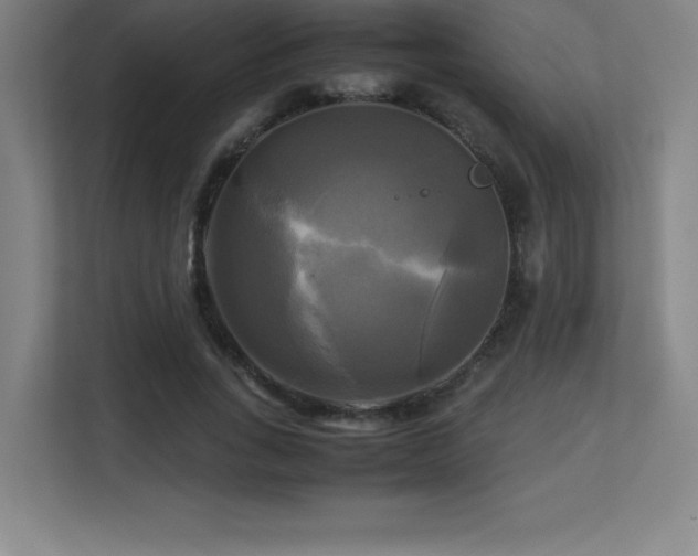 X0000113250735200909101428