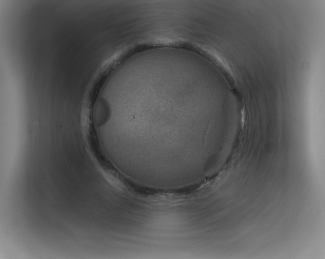 X0000113250736200909101428