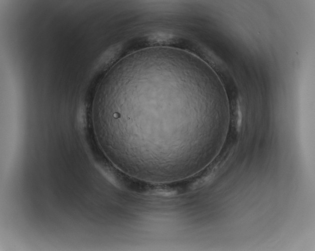 X0000113250738200909101428