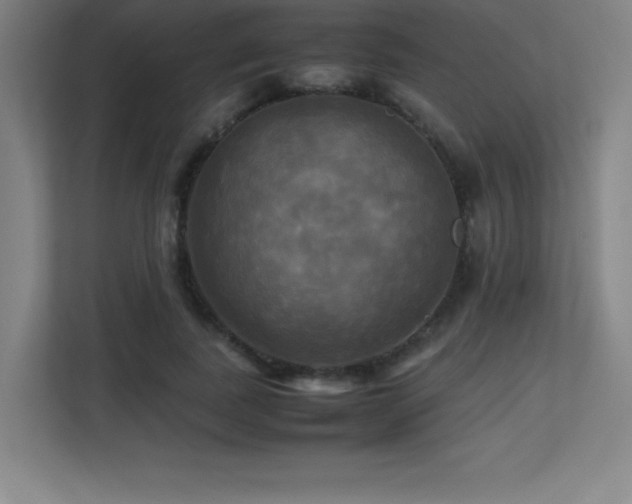 X0000113250739200909101428