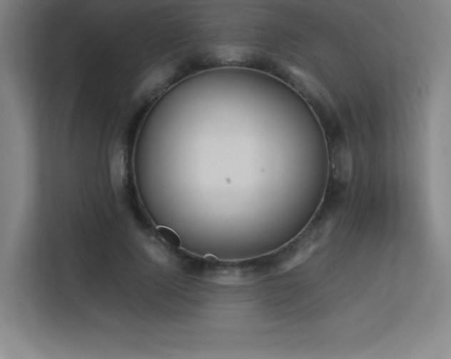 X0000113250740200909101428