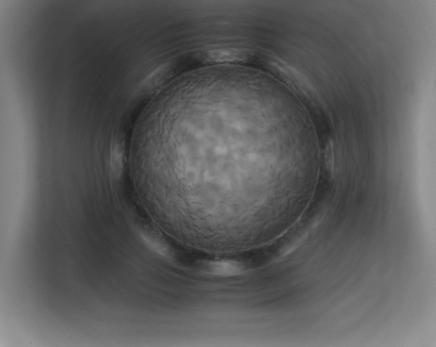 X0000113250741200909101428
