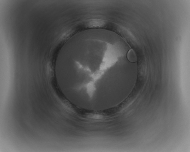 X0000113250743200909101428
