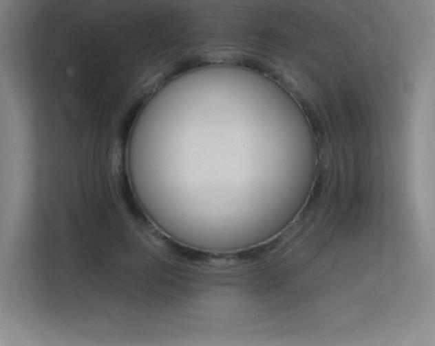 X0000113250744200909101428