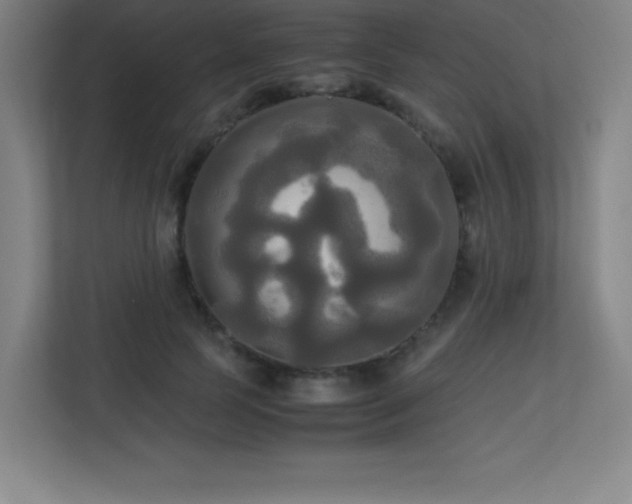 X0000113250745200909101428