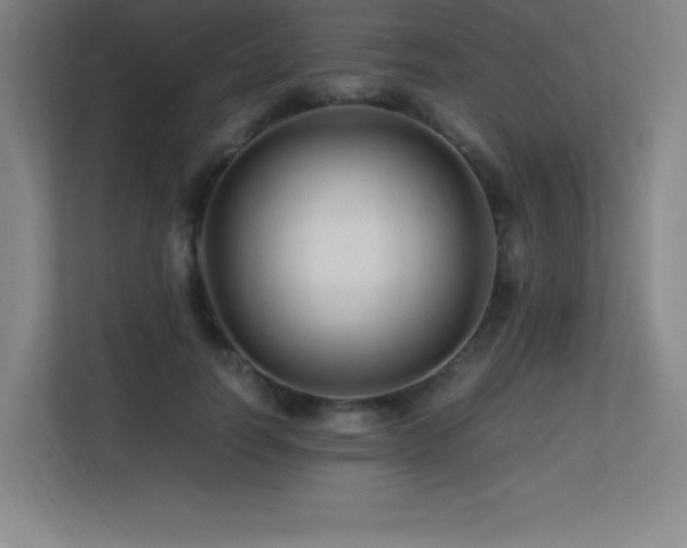 X0000113250746200909101428