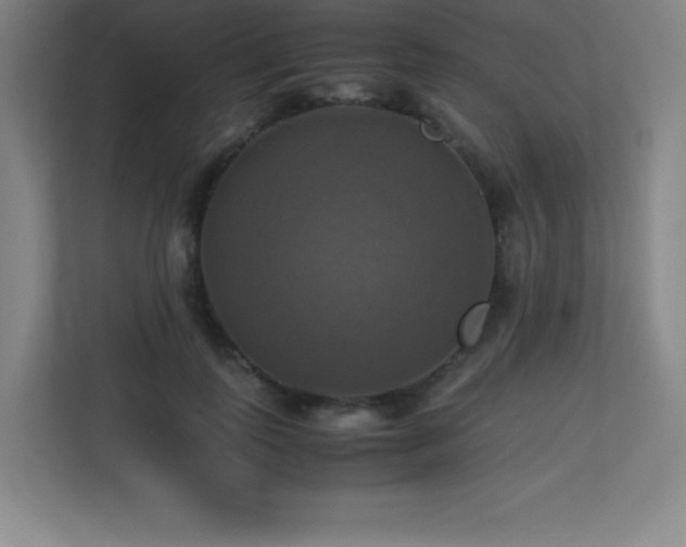 X0000113250747200909101428