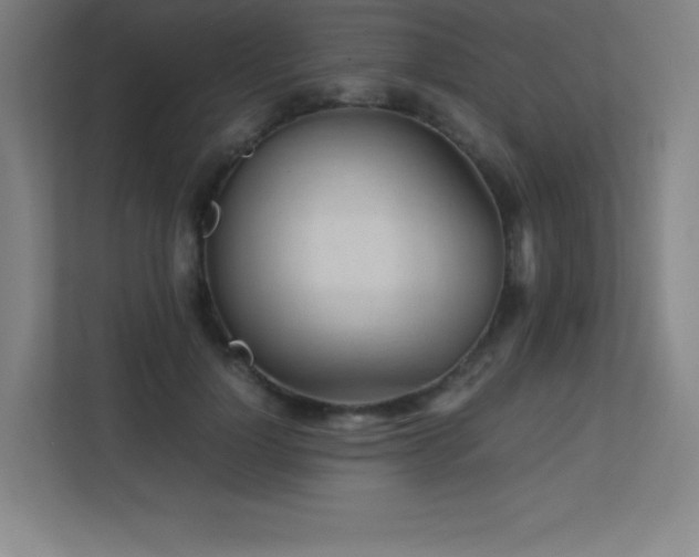 X0000113250748200909101428