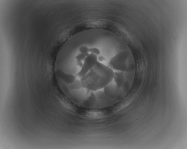 X0000113250749200909101428