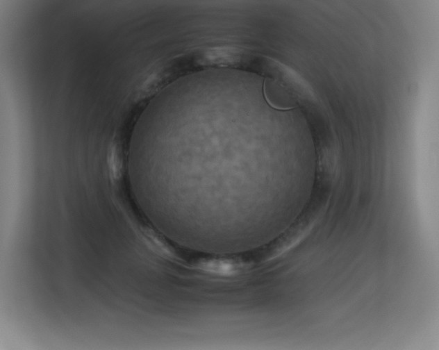 X0000113250751200909101428