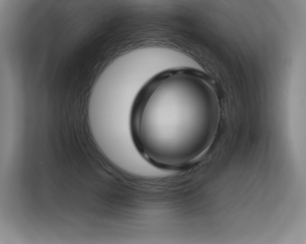 X0000113250752200909101428