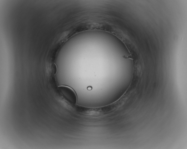 X0000113250756200909101428