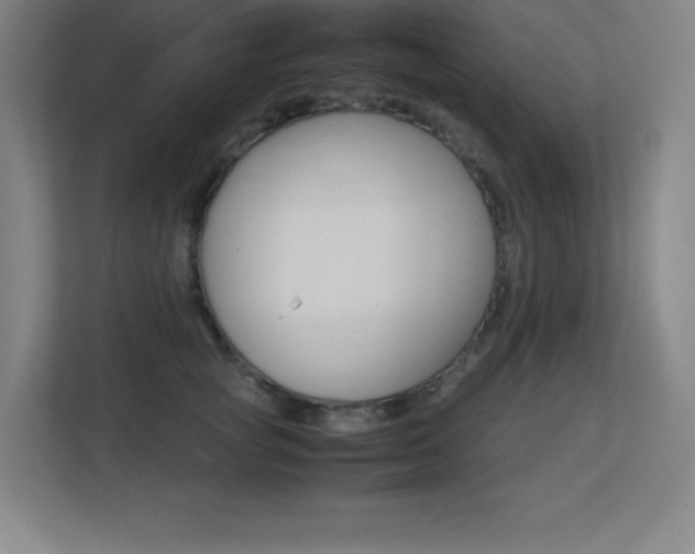 X0000113250757200909101428