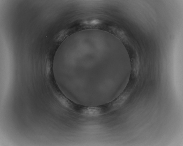 X0000113250758200909101428