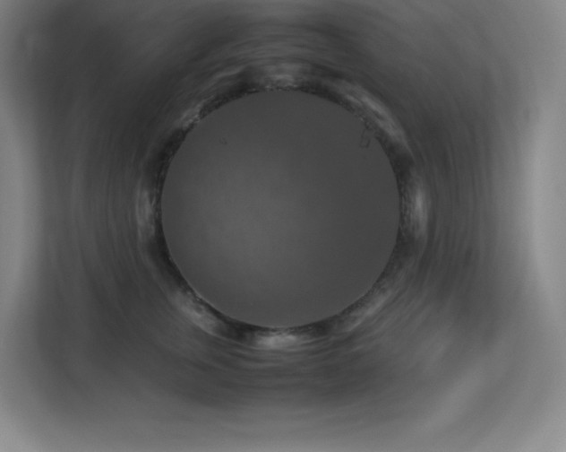 X0000113250759200909101428