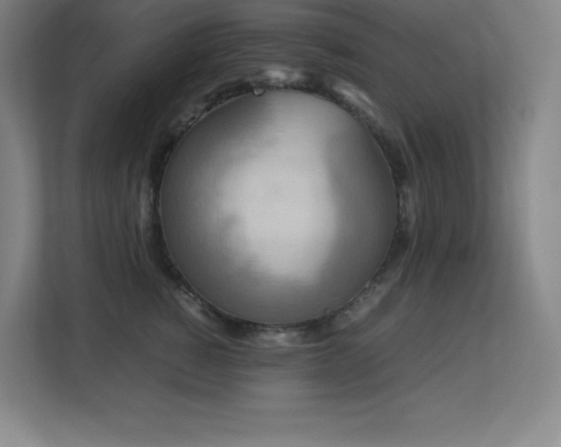 X0000113250760200909101428