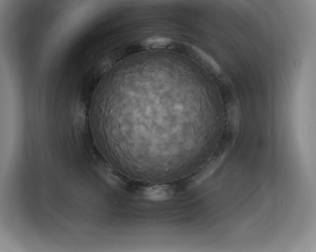 X0000113250761200909101428