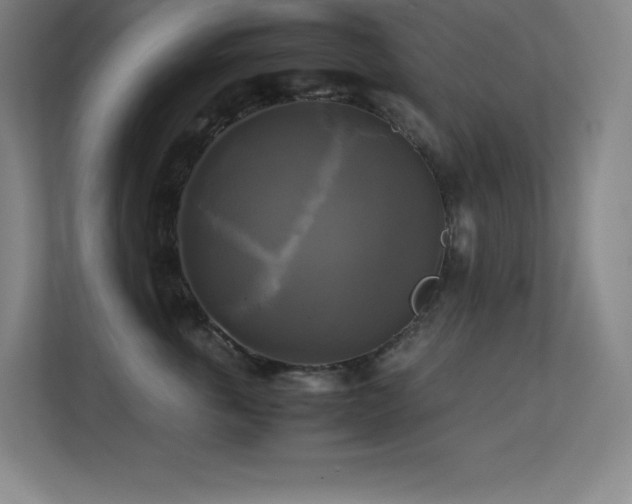 X0000113250763200909101428