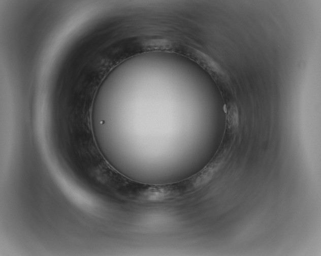 X0000113250764200909101428