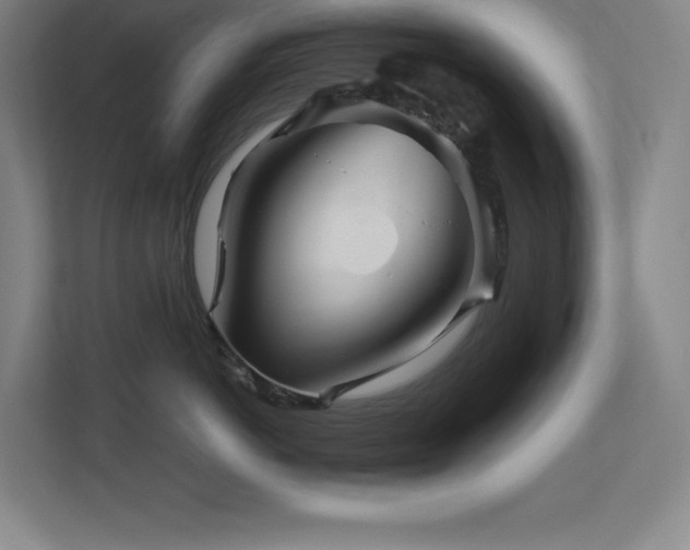 X0000113250766200909101428