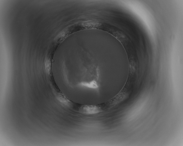 X0000113250767200909101428
