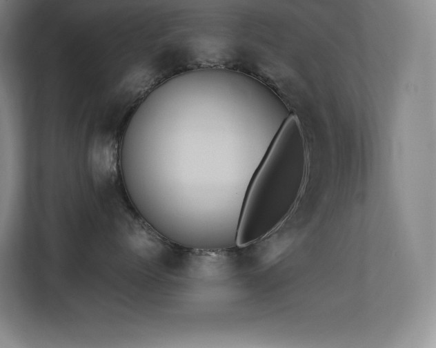 X0000113250768200909101428