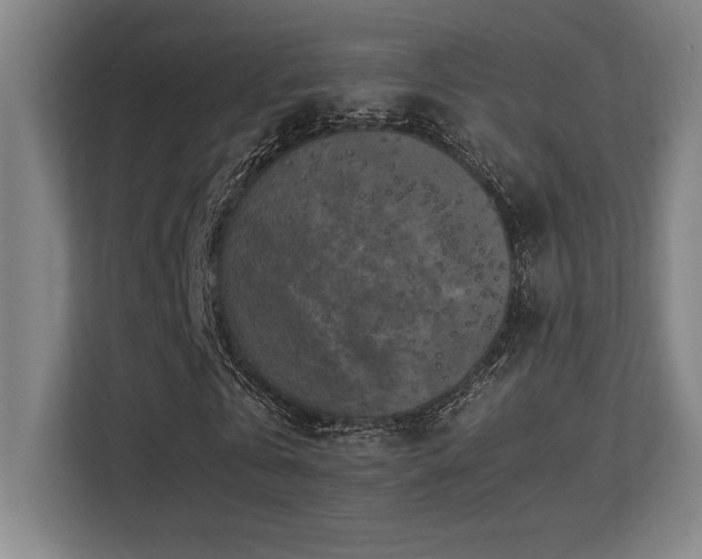 X0000113250769200909101427