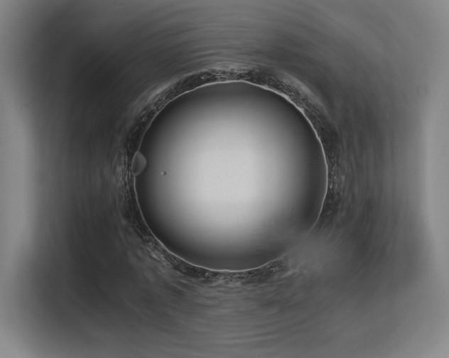 X0000113250773200909101427