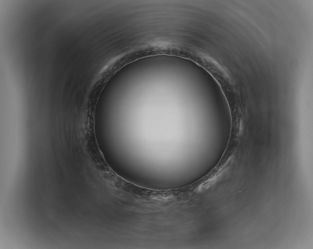 X0000113250776200909101427