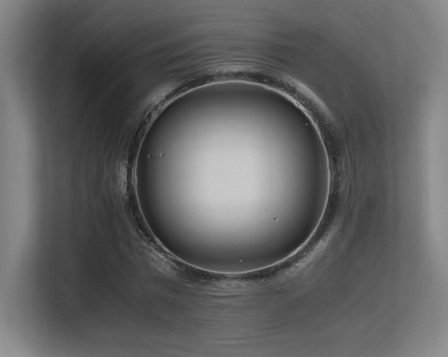 X0000113250777200909101427