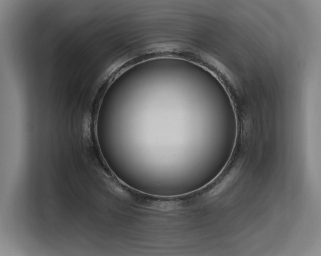 X0000113250778200909101427