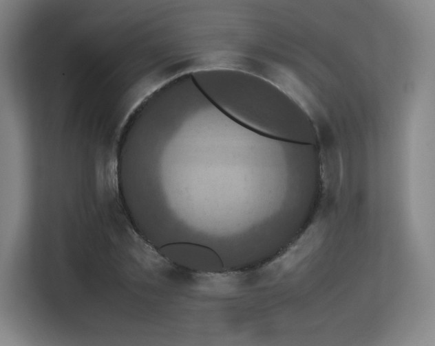 X0000113250781200909101427