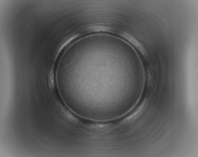 X0000113250782200909101427