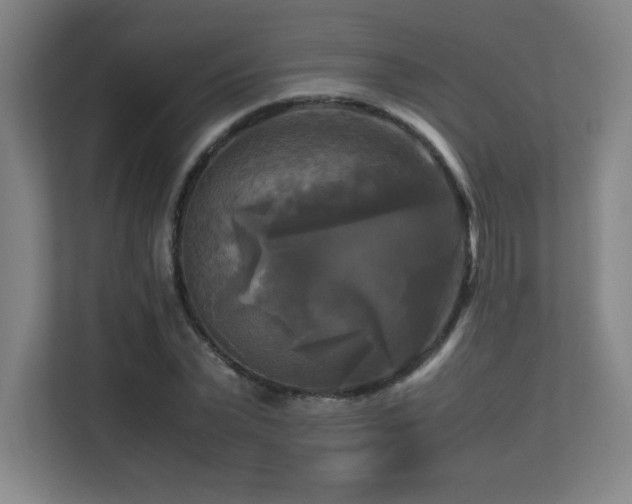 X0000113250783200909101427
