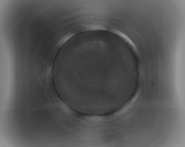 X0000113250785200909101427