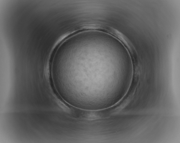 X0000113250787200909101427
