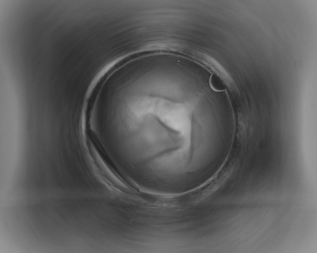 X0000113250788200909101427