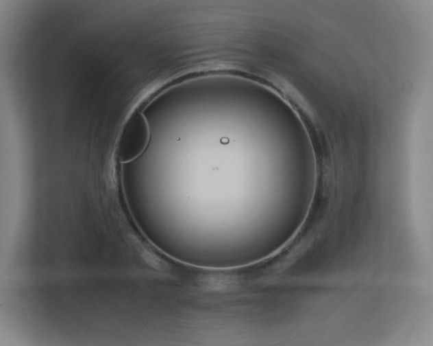 X0000113250789200909101427