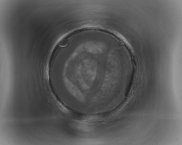 X0000113250791200909101427