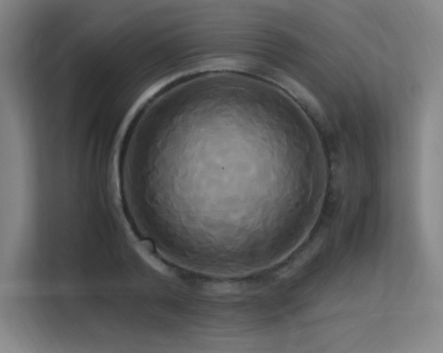 X0000113250792200909101427