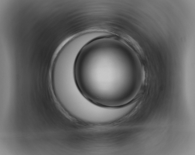 X0000113250796200909101427