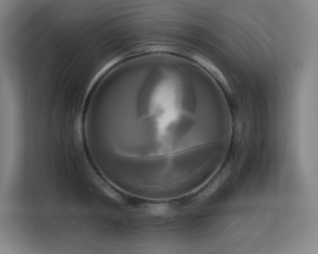 X0000113250798200909101427