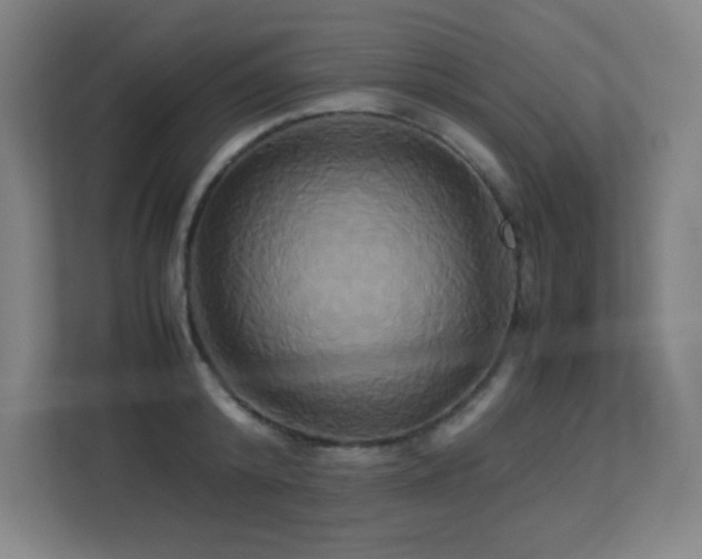 X0000113250800200909101427