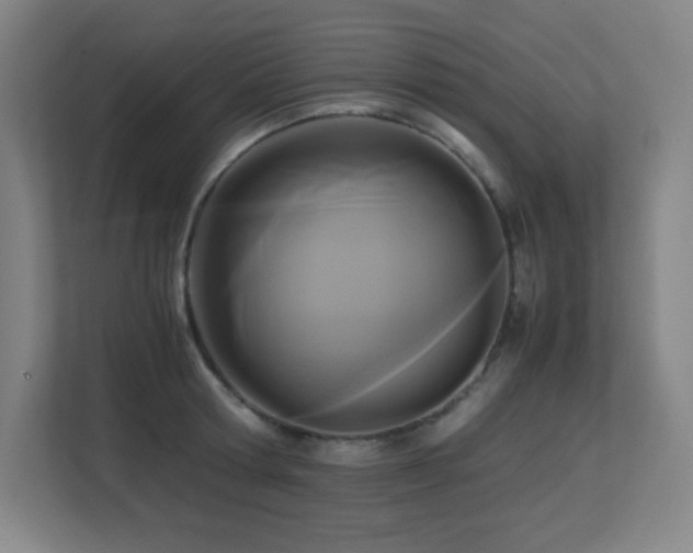 X0000113250802200909101427