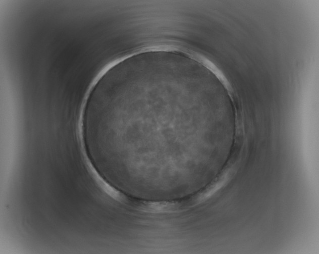 X0000113250803200909101427