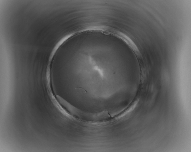 X0000113250804200909101427