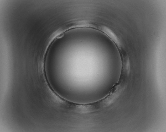 X0000113250805200909101427