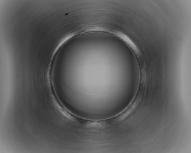 X0000113250806200909101427