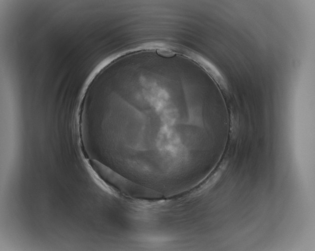 X0000113250808200909101427