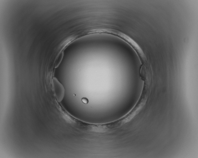 X0000113250809200909101427